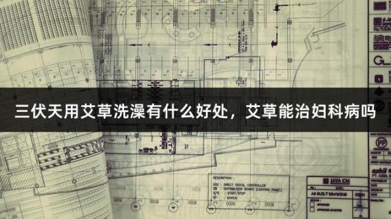 三伏天用艾草洗澡有什么好处，艾草能治妇科病吗