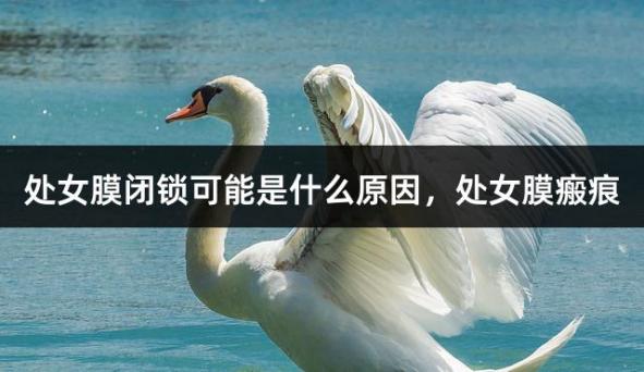 处女膜闭锁可能是什么原因，处女膜瘢痕