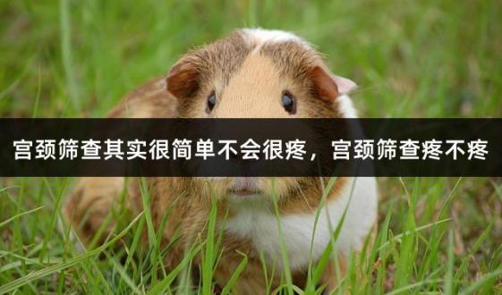 宫颈筛查其实很简单不会很疼，宫颈筛查疼不疼