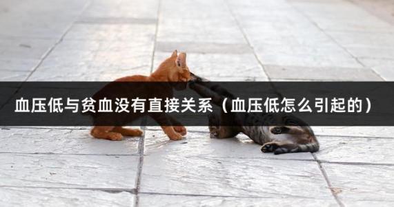 血压低与贫血没有直接关系（血压低怎么引起的）