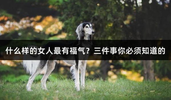 什么样的女人最有福气？三件事你必须知道的