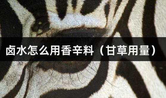 卤水怎么用香辛料（甘草用量）