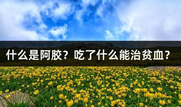 什么是阿胶？吃了什么能治贫血？