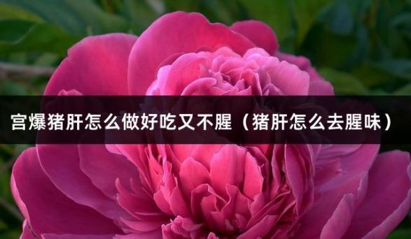 宫爆猪肝怎么做好吃又不腥（猪肝怎么去腥味）