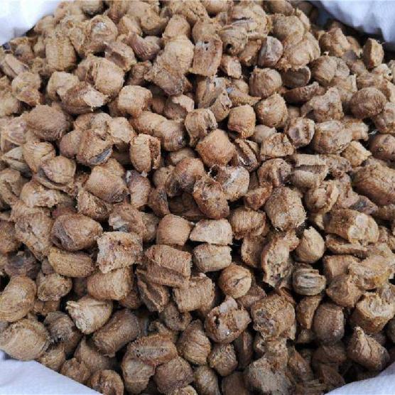 补肾固摄药物：桑或是螳螂卵鞘
