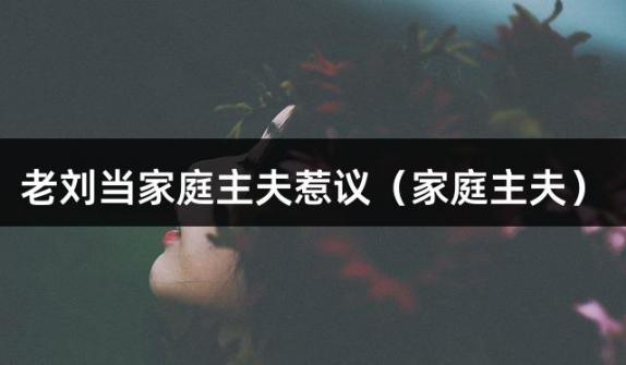 老刘当家庭主夫惹议（家庭主夫）