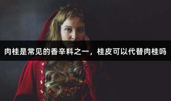 肉桂是常见的香辛料之一，桂皮可以代替肉桂吗