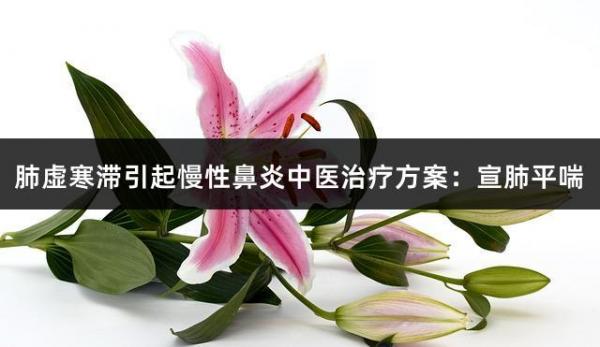 肺虚寒滞引起慢性鼻炎中医治疗方案：宣肺平喘