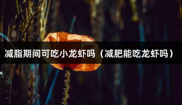 减脂期间可吃小龙虾吗（减肥能吃龙虾吗）