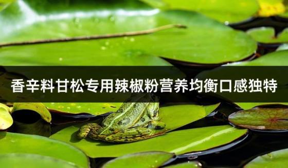香辛料甘松专用辣椒粉营养均衡口感独特