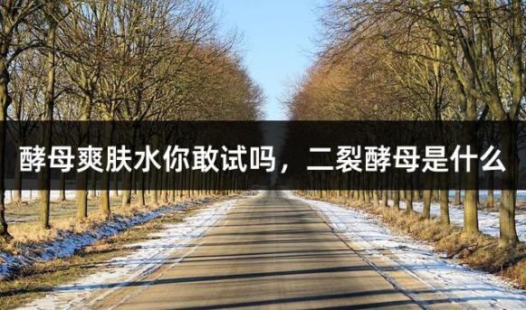 酵母爽肤水你敢试吗，二裂酵母是什么