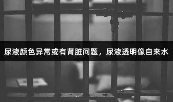 尿液颜色异常或有肾脏问题，尿液透明像自来水