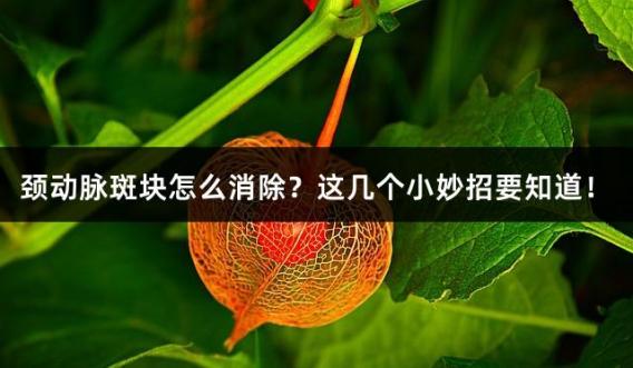 颈动脉斑块怎么消除？这几个小妙招要知道！