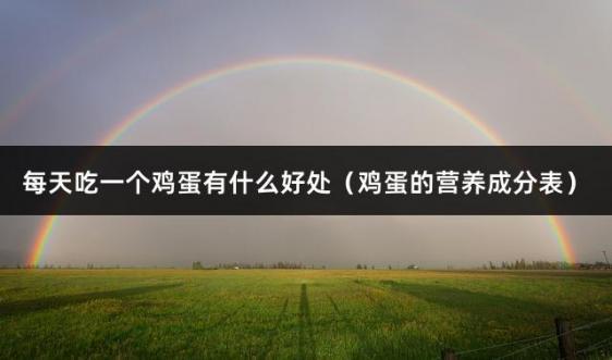 每天吃一个鸡蛋有什么好处（鸡蛋的营养成分表）
