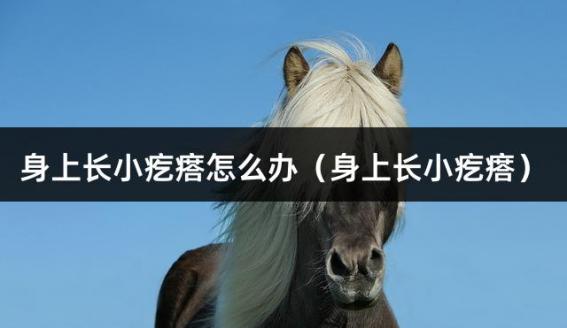 身上长小疙瘩怎么办（身上长小疙瘩）