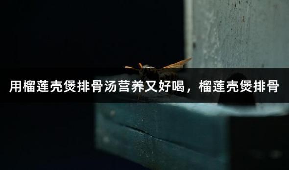用榴莲壳煲排骨汤营养又好喝，榴莲壳煲排骨
