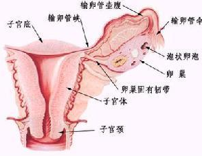 输尿管结石怎么更好碎石，输尿管点