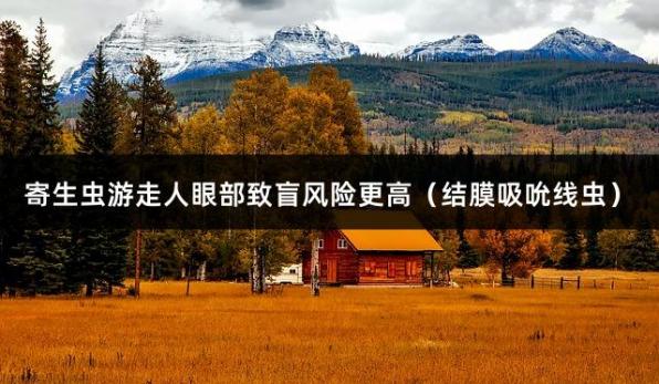 寄生虫游走人眼部致盲风险更高（结膜吸吮线虫）