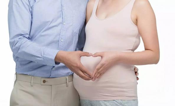 孕检报告怎么看，孕检报告收纳册方便查阅不丢失