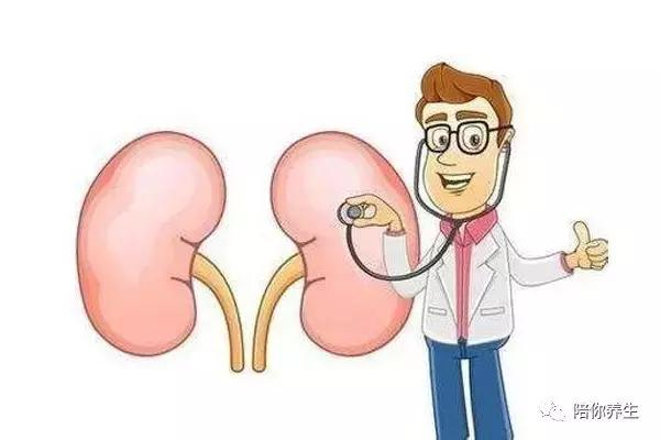 肾衰晚期能活多久，从肾虚到肾衰竭需要多久？