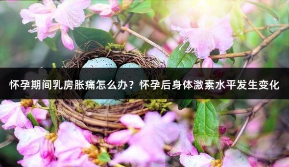 怀孕期间乳房胀痛怎么办？怀孕后身体激素水平发生变化