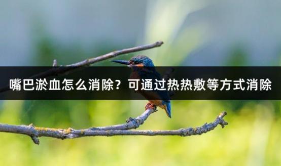 嘴巴淤血怎么消除？可通过热热敷等方式消除