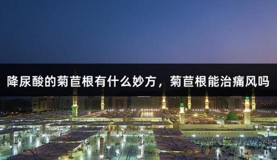 降尿酸的菊苣根有什么妙方，菊苣根能治痛风吗