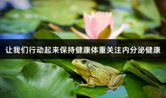 让我们行动起来保持健康体重关注内分泌健康