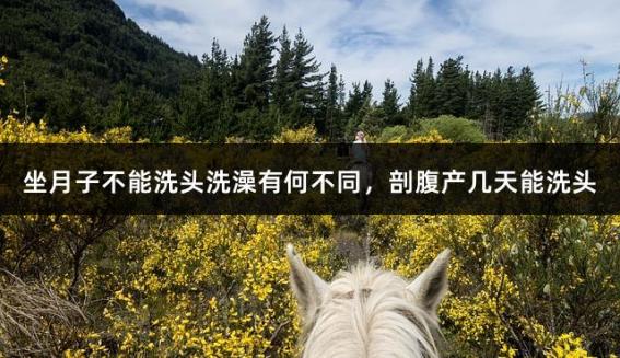 坐月子不能洗头洗澡有何不同，剖腹产几天能洗头