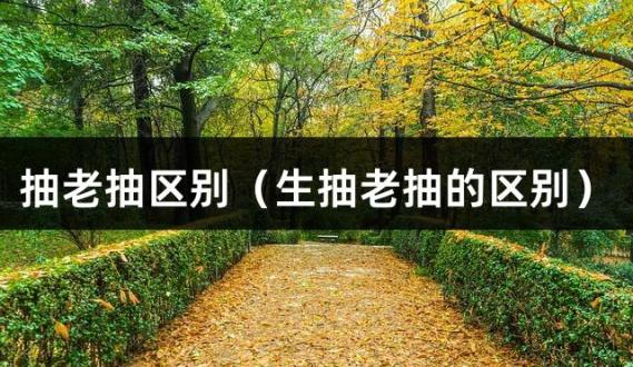 抽老抽区别（生抽老抽的区别）