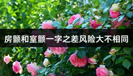 房颤和室颤一字之差风险大不相同