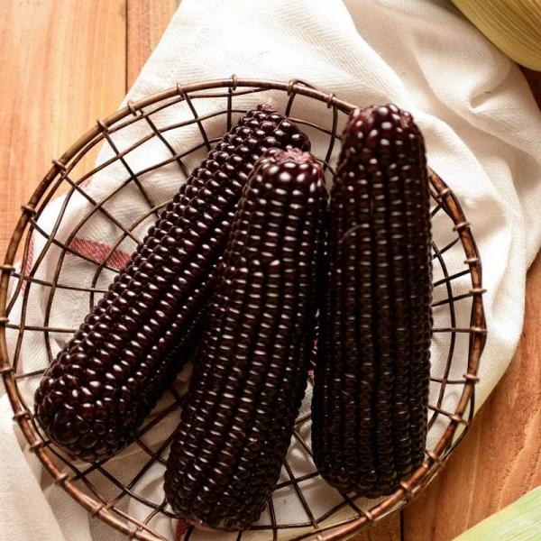 山西黑玉米口感营养丰富煮食效果佳