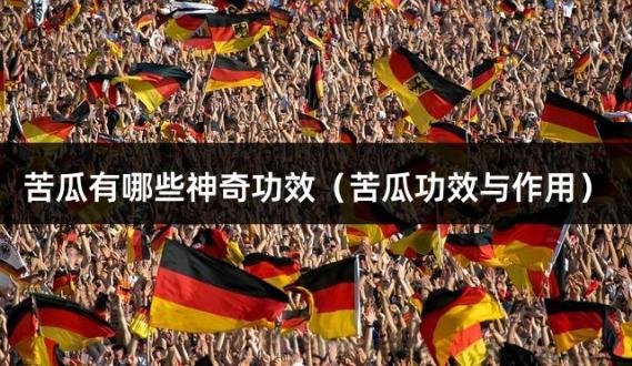 苦瓜有哪些神奇功效（苦瓜功效与作用）