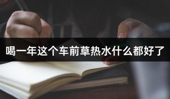 喝一年这个车前草热水什么都好了