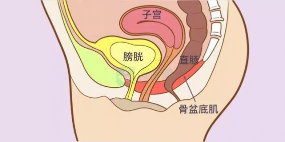 避免性生活可能导致病情复发吗？需要解答