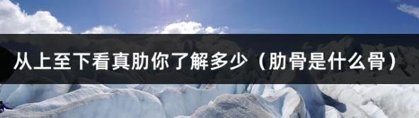 从上至下看真肋你了解多少（肋骨是什么骨）