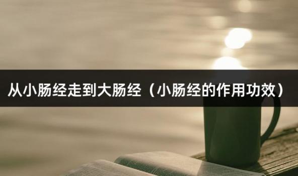 从小肠经走到大肠经（小肠经的作用功效）