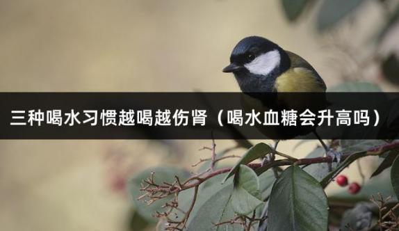 三种喝水习惯越喝越伤肾（喝水血糖会升高吗）