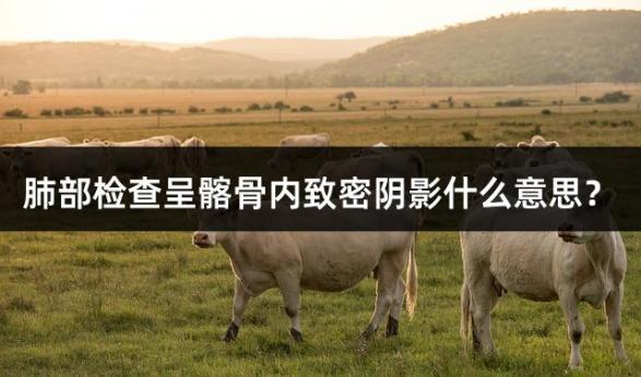 肺部检查呈髂骨内致密阴影什么意思？