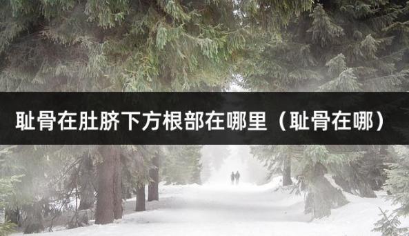耻骨在肚脐下方根部在哪里（耻骨在哪）