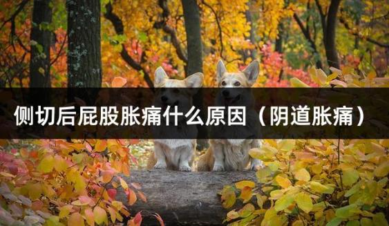侧切后屁股胀痛什么原因（阴道胀痛）