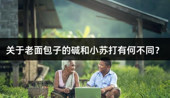 关于老面包子的碱和小苏打有何不同？