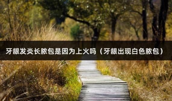 牙龈发炎长脓包是因为上火吗（牙龈出现白色脓包）