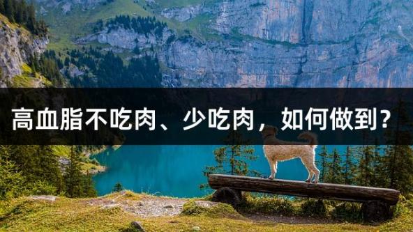 高血脂不吃肉、少吃肉，如何做到？