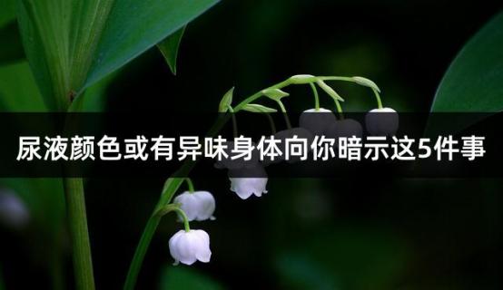 尿液颜色或有异味身体向你暗示这5件事