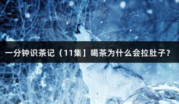 一分钟识茶记（11集】喝茶为什么会拉肚子？