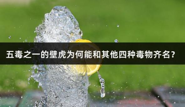五毒之一的壁虎为何能和其他四种毒物齐名？