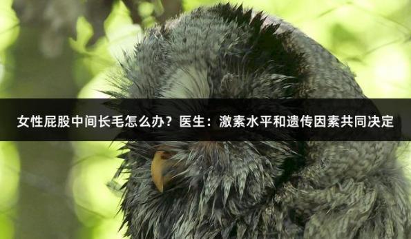 女性屁股中间长毛怎么办？医生：激素水平和遗传因素共同决定