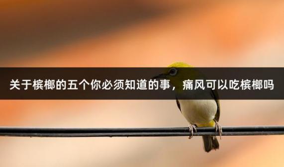 关于槟榔的五个你必须知道的事，痛风可以吃槟榔吗