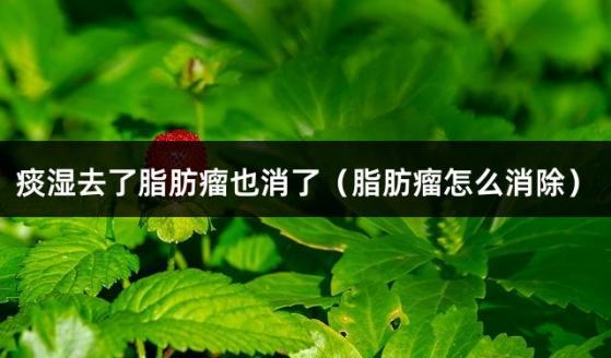 痰湿去了脂肪瘤也消了（脂肪瘤怎么消除）